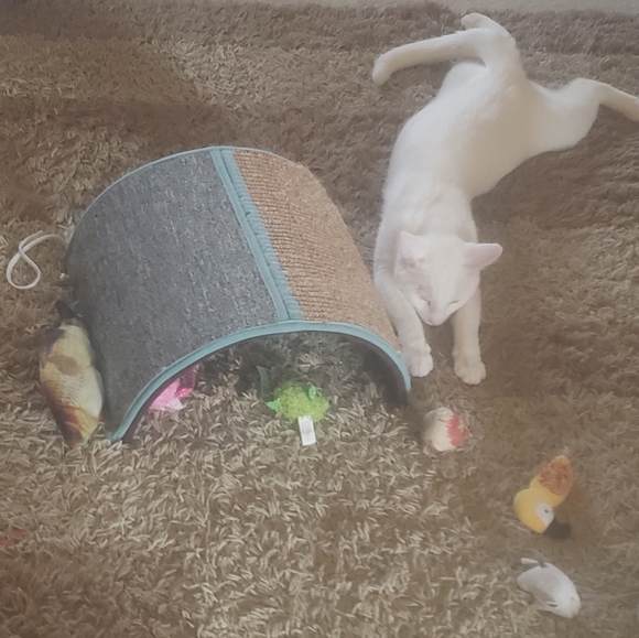 My Bebes! - Picture 3 of 15